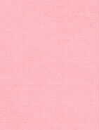 pink.jpg (1341 bytes)